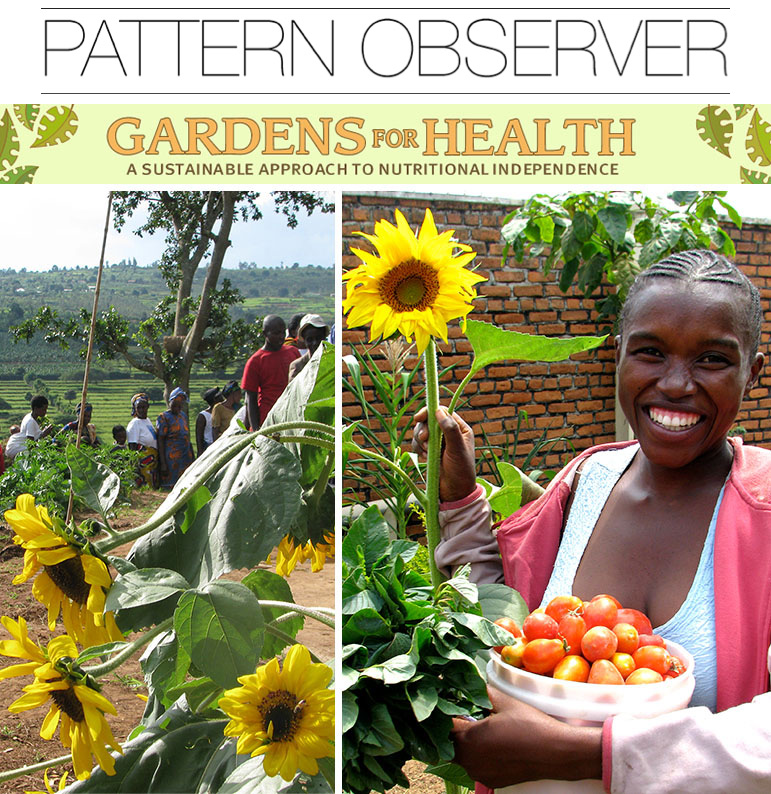 Gardens-for-health-pattern-contest