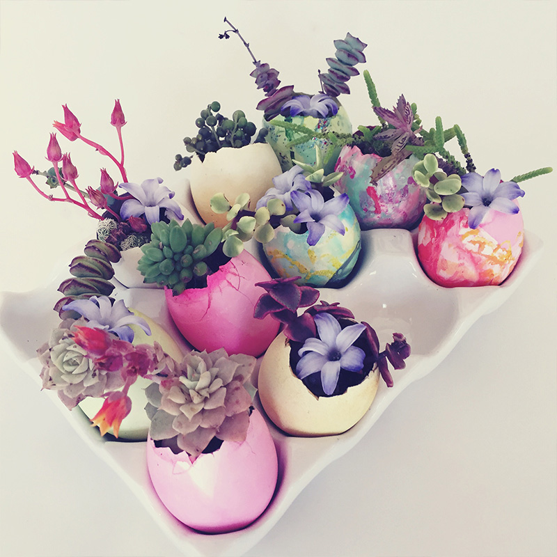 Easter Egg Succulent Planters by Aaryn West