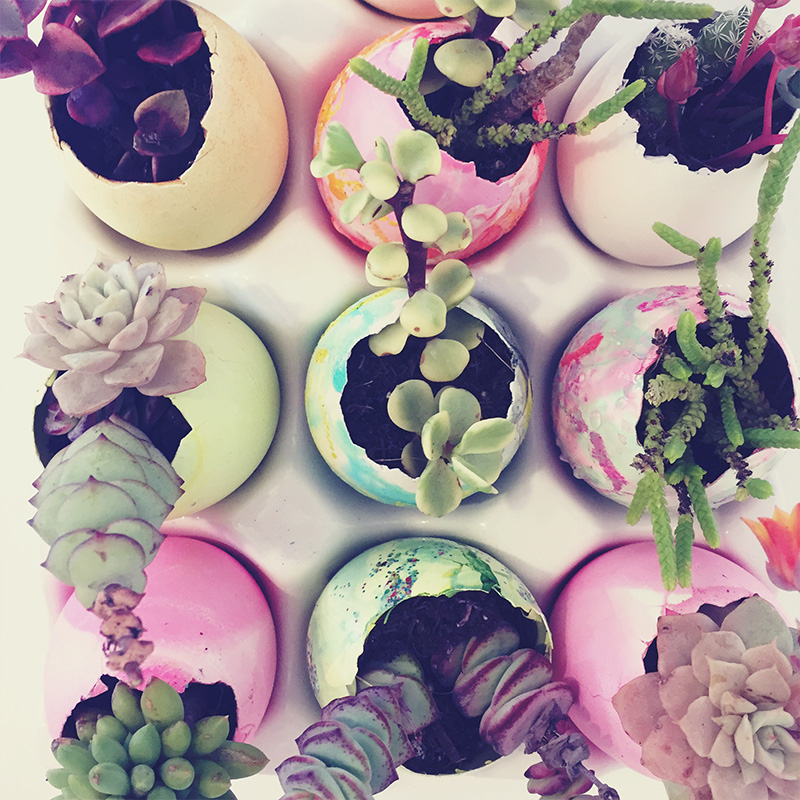 Easter Egg Succulent Planters by Aaryn West