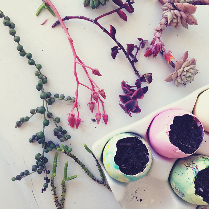 Easter Egg Succulent Planters by Aaryn West